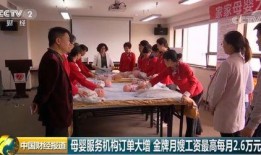 金牌月嫂爆料视频,育儿护理背后的真实故事