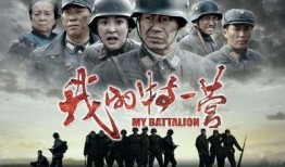 特一营在线观看,热血青春，战火中的青春传奇