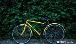 ofo单车最新爆料,行业变革下的生存之道与未来展望”